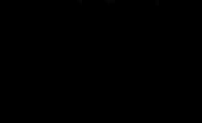 black box